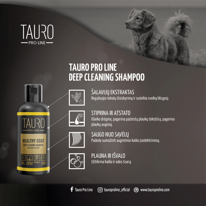 TAURO PRO LINE Healthy Coat Deep Cleaning Shampoo, šampūnas šunims ir katėms 