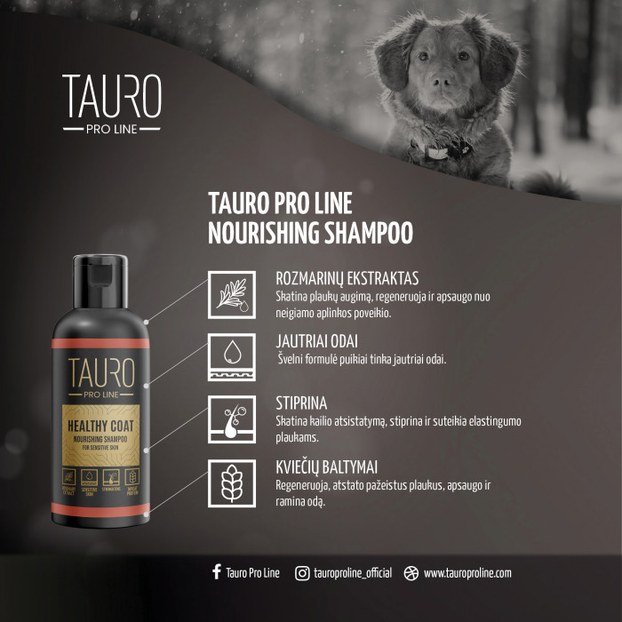 TAURO PRO LINE Healthy Coat, šunų ir kačių kailį maitinantis šampūnas 