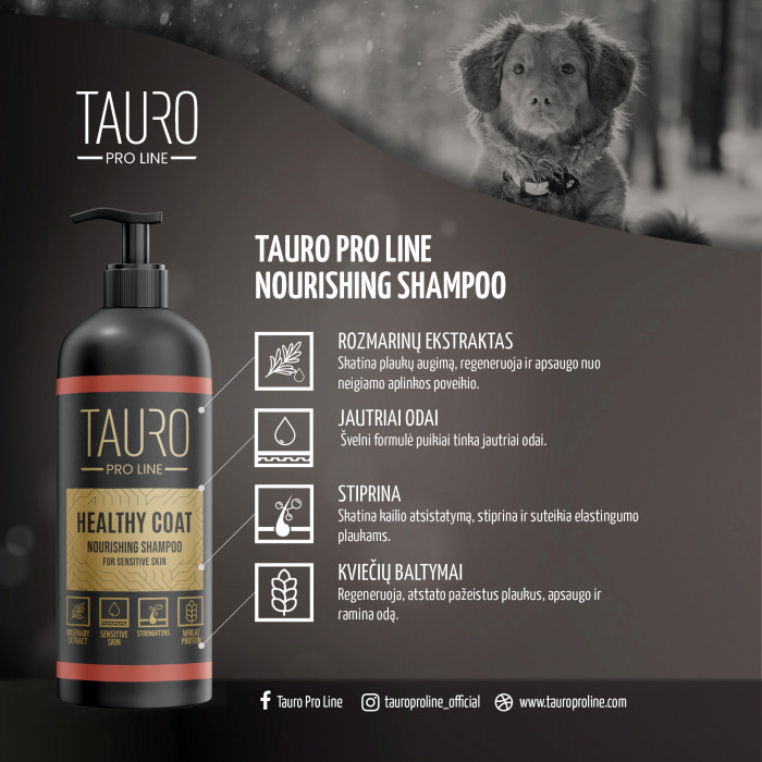 TAURO PRO LINE Healthy Coat Nourishing Shampoo, šampūnas šunims ir katėms 