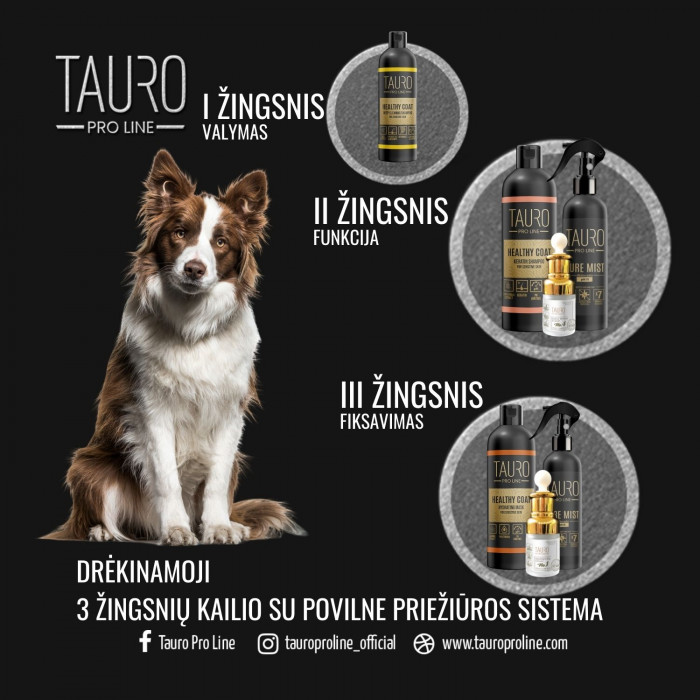 TAURO PRO LINE Healthy Coat Keratin, šunų ir kačių šampūnas 