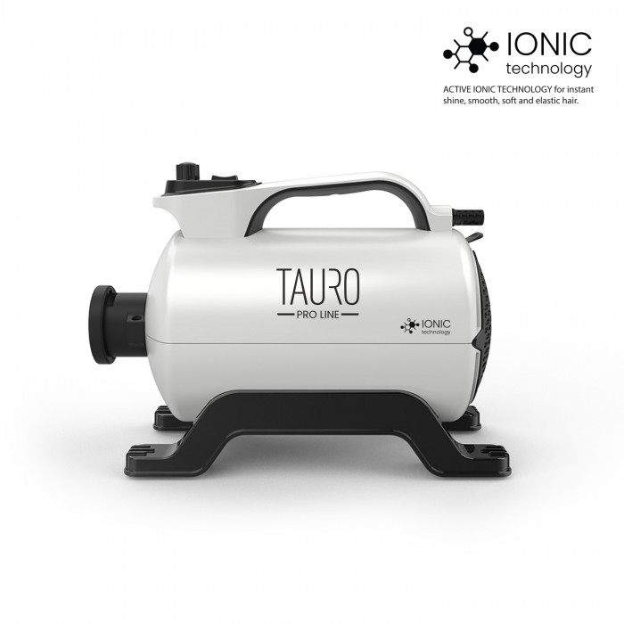 TAURO PRO LINE kailio džiovintuvas IONIC Technology 