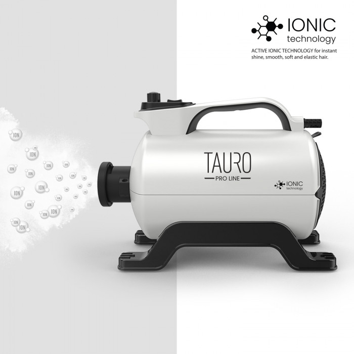 TAURO PRO LINE kailio džiovintuvas IONIC Technology 