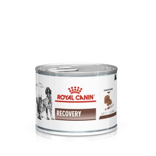 ROYAL CANIN VD Cat/Dog Recovery kačių ir šunų konservuotas pašaras 195 g x 12