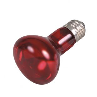 TRIXIE Infraraudonųjų spindulių lempa raudona, 75W