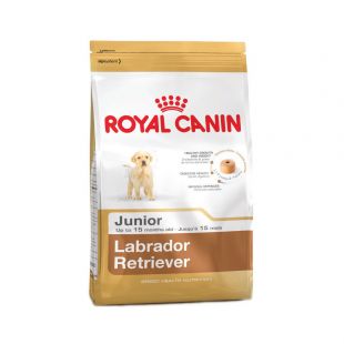 ROYAL CANIN Labradoro retriverių veislės jaunų šunų sausas pašaras 3 kg