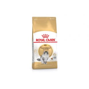 ROYAL CANIN suaugusių Norvegų miškinių kačių sausas pašaras 2 kg