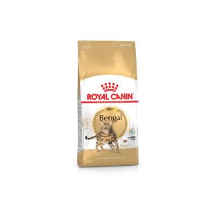 ROYAL CANIN Bengalijos veislės suaugusių kačių sausas pašaras 2 kg