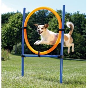 TRIXIE AGILITY inventorius 115 x3 cm, 65 cm