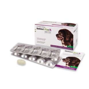 DEHINEL XL Plus tabletės nuo kirminų didelių veislių šunims 1 tab.