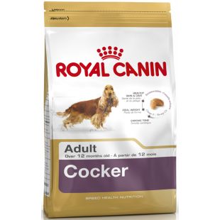 ROYAL CANIN Cocker Pašaras šunims 3 kg