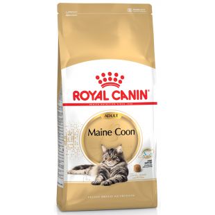 ROYAL CANIN Meino meškėnų veislės suaugusių kačių sausas pašaras 10 kg