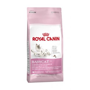 ROYAL CANIN katingų ir laktuojančių kačių sausas pašaras 400 g