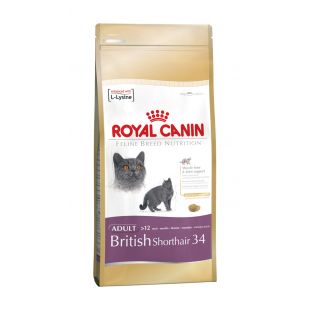 ROYAL CANIN Britų trumpaplaukių veislės suaugusių kačių sausas pašaras 2 kg