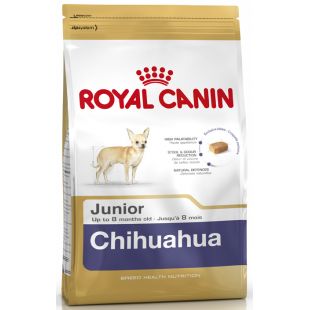 ROYAL CANIN čihuahua veislės jaunų šunų sausas pašaras 500 g