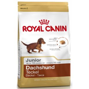 ROYAL CANIN taksų veislės jaunų šunų sausas pašaras 1.5 kg