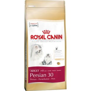 ROYAL CANIN persų veislės suaugusių kačių sausas pašaras 10 kg