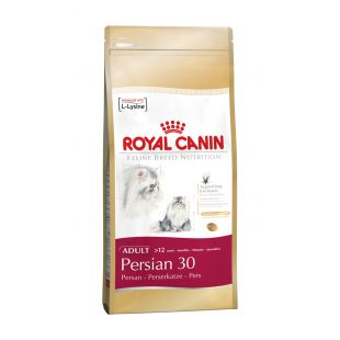 ROYAL CANIN persų veislės suaugusių kačių sausas pašaras 4 kg