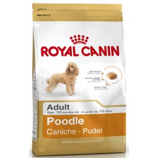 ROYAL CANIN pudelių veislės suaugusių šunų sausas pašaras 1.5 kg