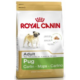ROYAL CANIN mopsų veislės suaugusių šunų sausas pašaras 1.5 kg