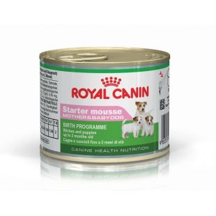 ROYAL CANIN Starter mousse, suaugusių šunų konservuotas pašaras 195 g x 12