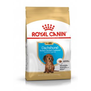 ROYAL CANIN taksų veislės jaunų šunų sausas pašaras 1.5 kg