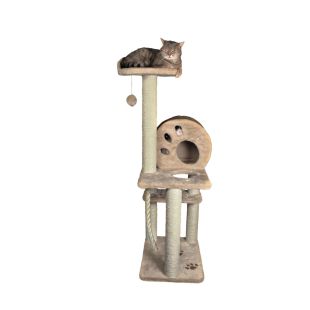 TRIXIE Salamanca Draskyklė katėms smėlio spalvos, 138 cm