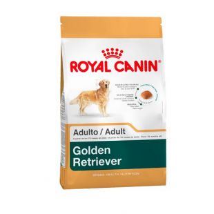 ROYAL CANIN auksaspalvių retriverių veislės suaugusių šunų sausas pašaras 12 kg