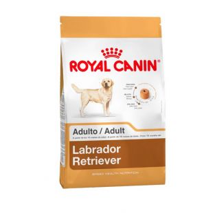 ROYAL CANIN Labradoro retriverių veislės suaugusių šunų sausas pašaras 12 kg