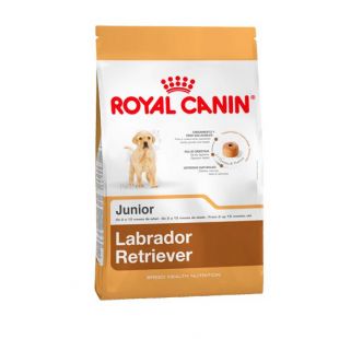 ROYAL CANIN Labradoro retriverių veislės jaunų šunų sausas pašaras 12 kg