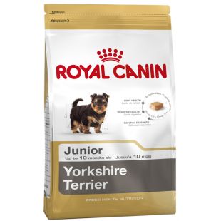 ROYAL CANIN Jorkšyro terjerų veislės jaunų šunų sausas pašaras 1.5 kg