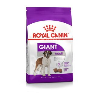 ROYAL CANIN labai didelių veislių suaugusių šunų sausas pašaras 15 kg