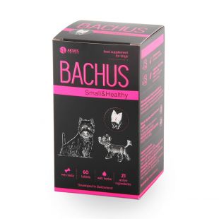 BACHUS Small&Healthy N60 maisto papildas mažų ir nykštukinių veislių šunims. 1 vnt