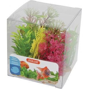 ZOLUX Akvariumų augalų rinkinys 9 cm