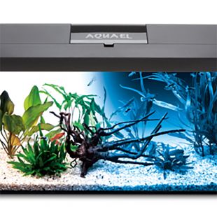 AQUAEL SET DAY & NIGHT Stačiakampis akvariumas su įranga juodas, 41x25x25 cm
