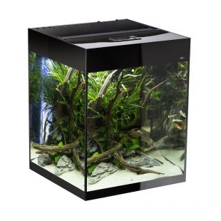 AQUAEL GlOOSY SET CUBE Stačiakampis akvariumas juodas, 50x50x63 cm, 132 l