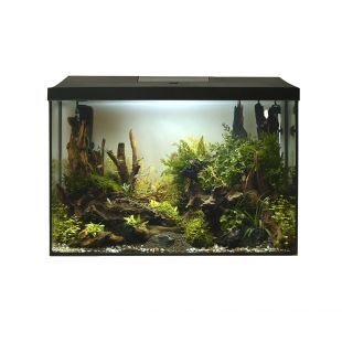 AQUAEL LEDDY XL Day & Night Akvariumo rinkinys juodas, 35 l, 41x25x35 cm