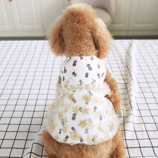 PAW COUTURE Šunų suknelė 