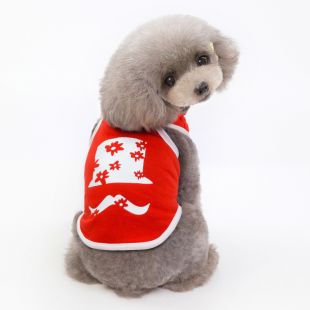PAW COUTURE Šunų marškinėliai 