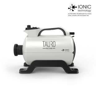 TAURO PRO LINE kailio džiovintuvas IONIC Technology baltas