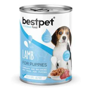BESTPET jaunų šunų konservuotas pašaras su ėriena 400 g
