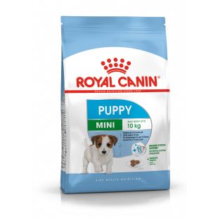 ROYAL CANIN mažų veislių jaunų šunų sausas pašaras 2 kg