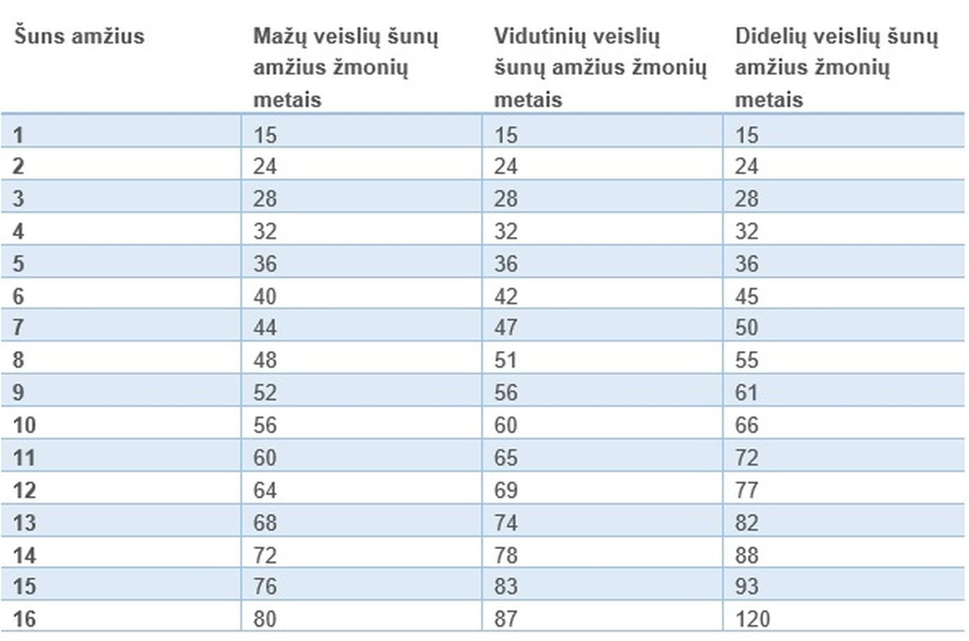 Šuns ir žmogaus amžiaus palyginimas