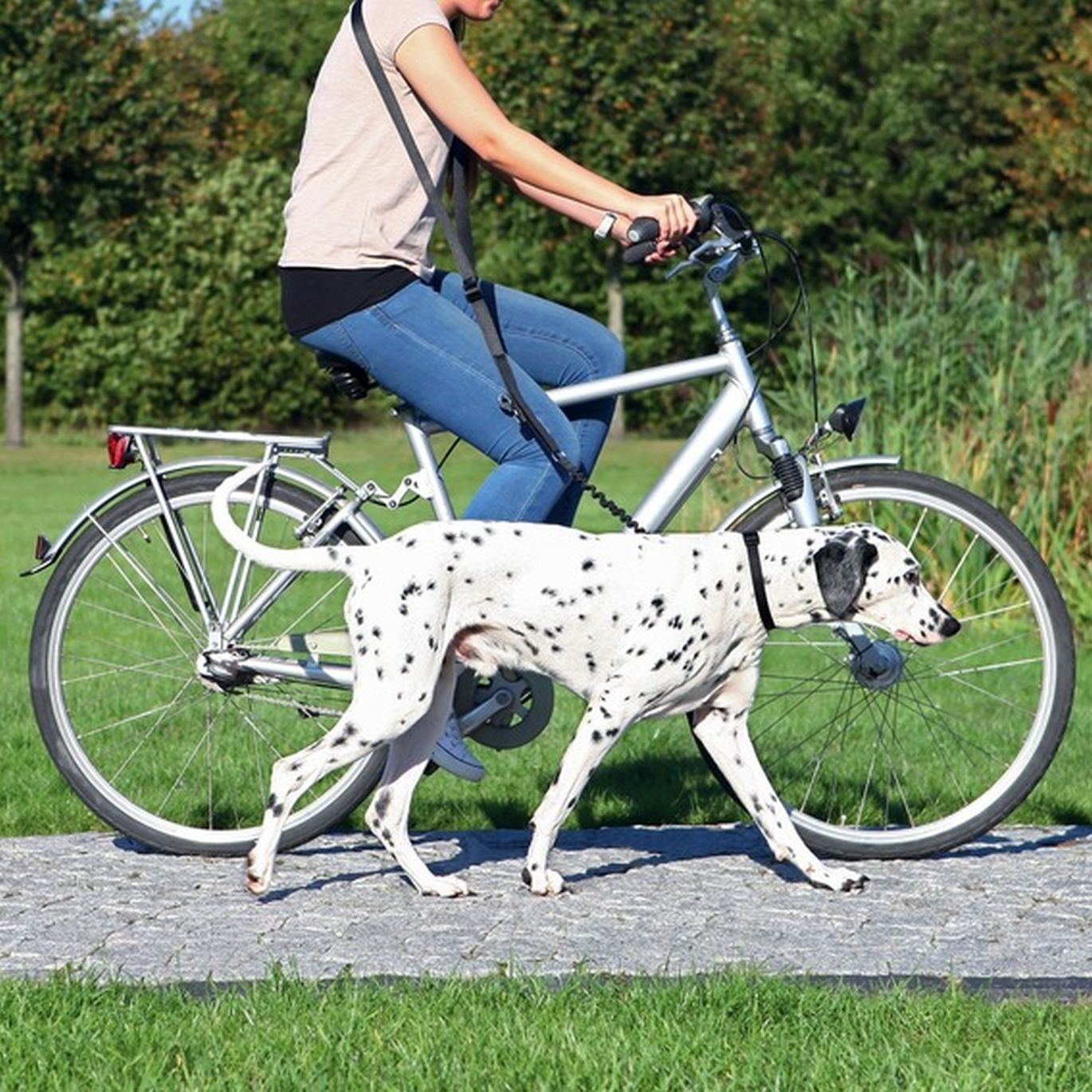 Šuo vaikšto su važiuojančiu dviračiu šeiminku