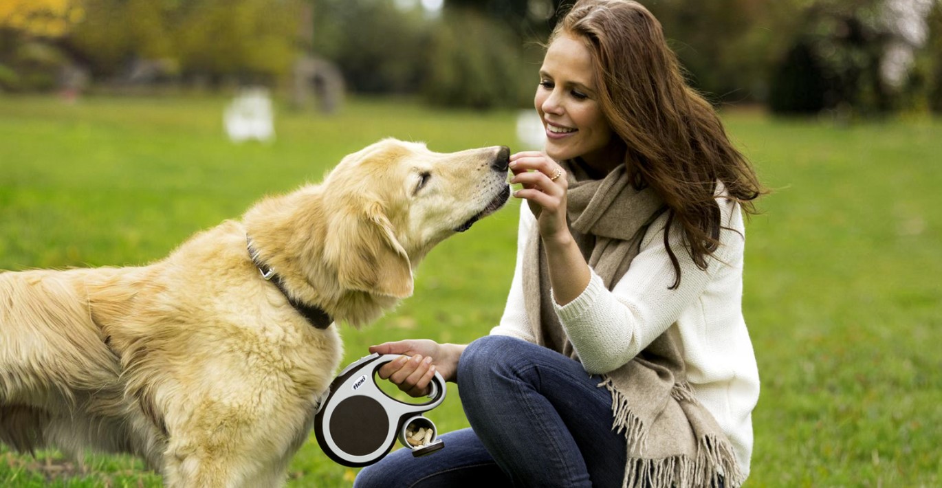 Šeimininkė vasariškoje pievelėje pasivaikščiojimo metu skanuku vaišina dideli šveisiakailį šunį