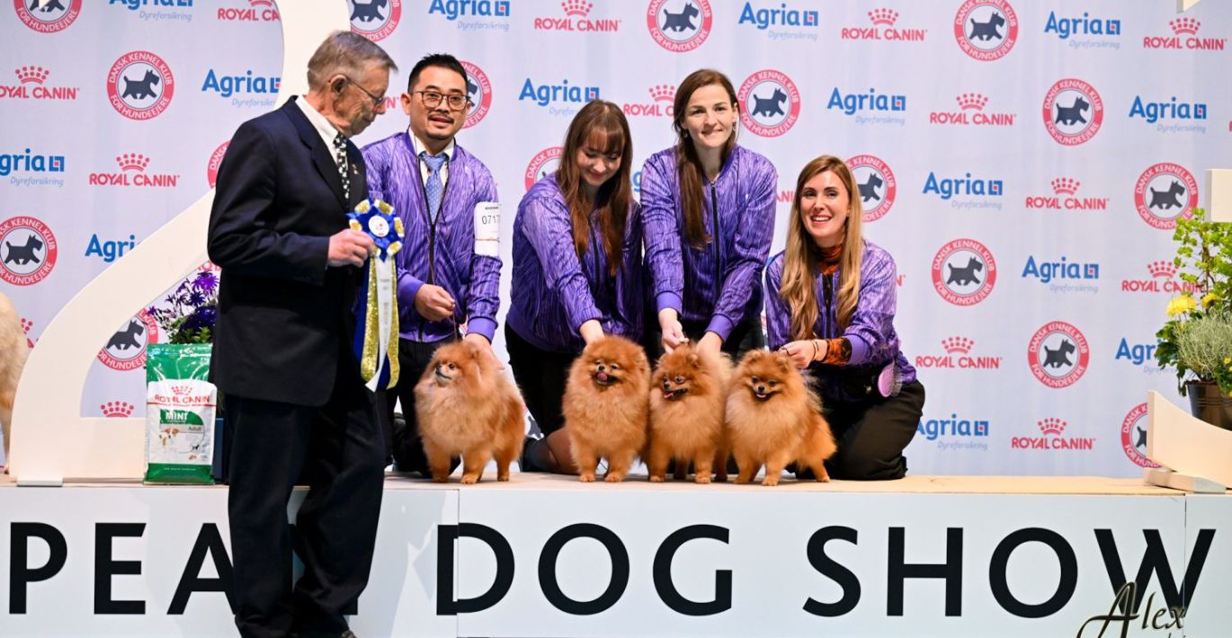 Tauro Kennel veislyno komanda „Progeny“ šunų konkurse