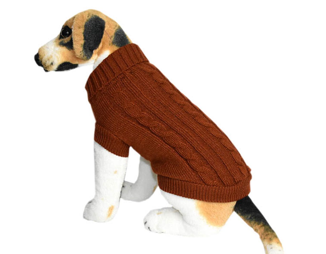 Šuo su megztiniu