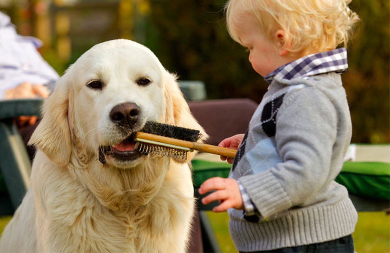 Vaikas duodantis šuniui pakramtyti žaislą