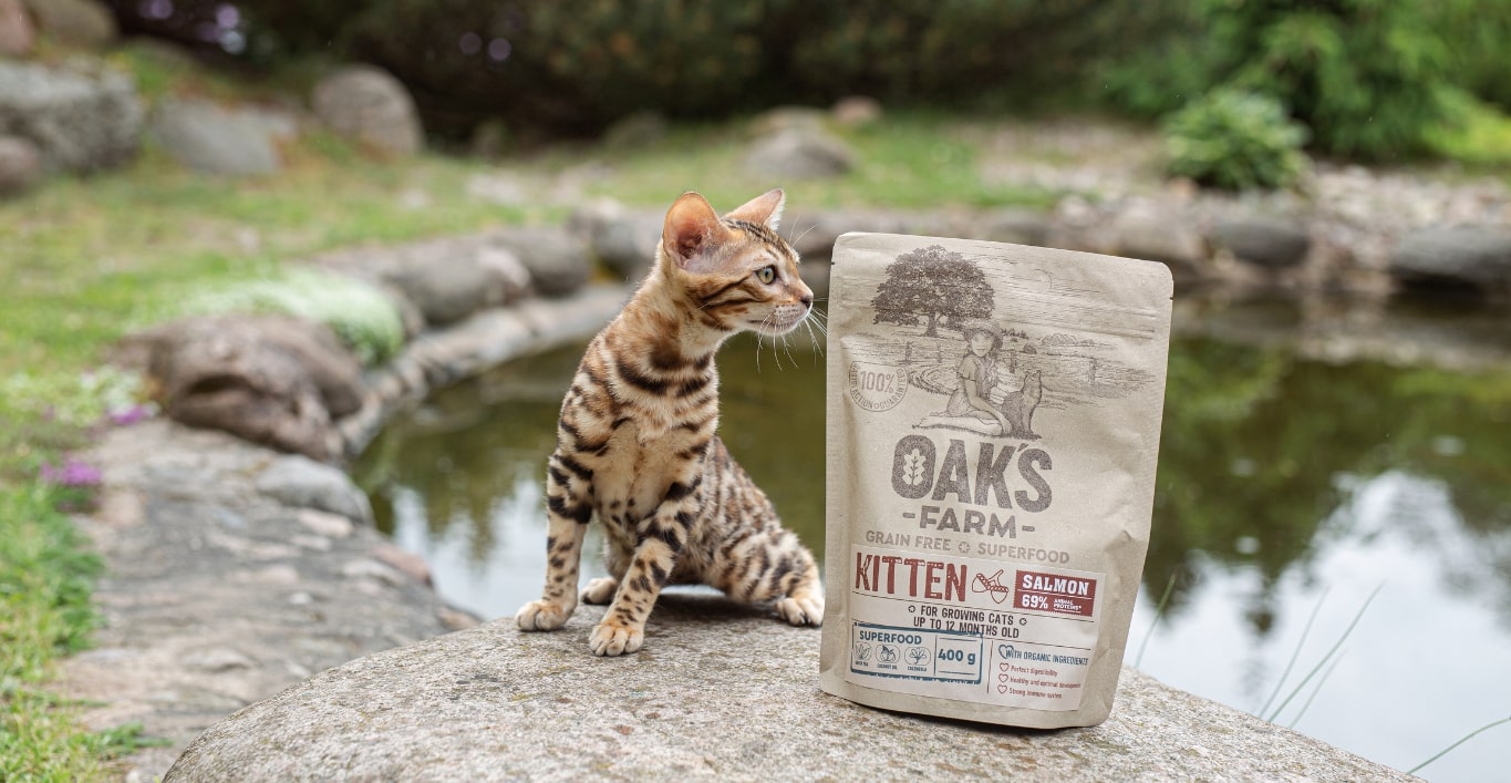 Jaunas egzotinės veislės katinas sėdi gamtos apsuptyje, prie dekoratyvinio tvenkinio, šalia jo Oak‘s farm pašaro pakuotė