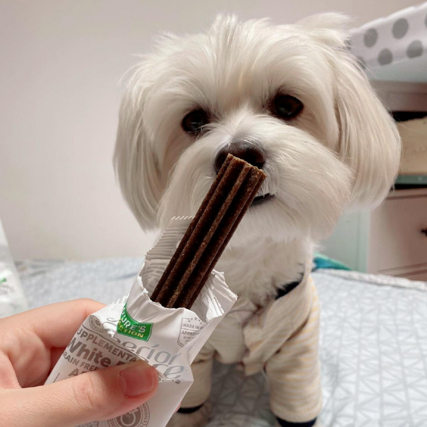 „Nature‘s Protection Superior Care White Dogs Hypoallergenic Dental“ funkciniai skanėstai-papildai