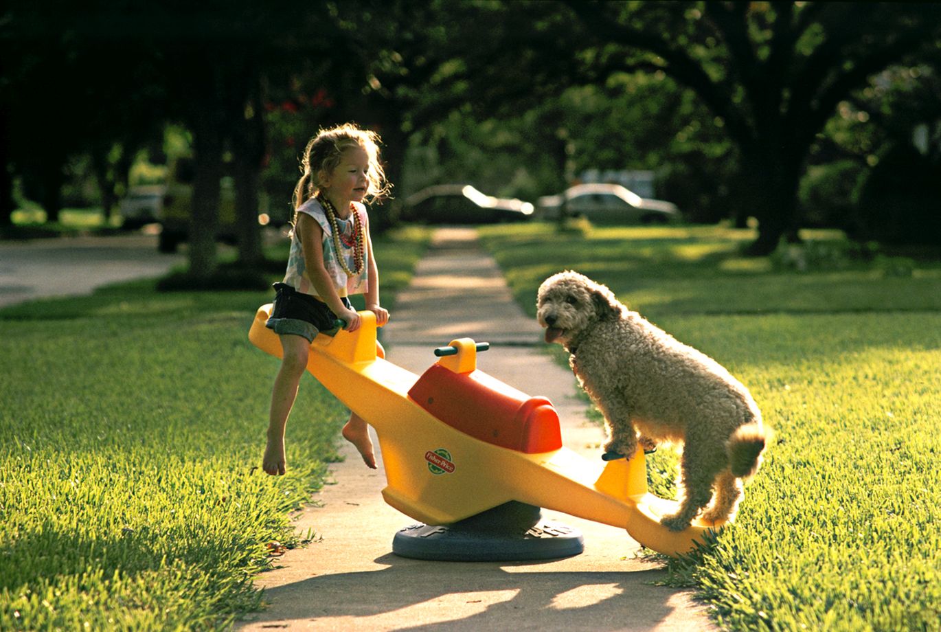 vaikas žaidžiantis su šuniuku ant supynių